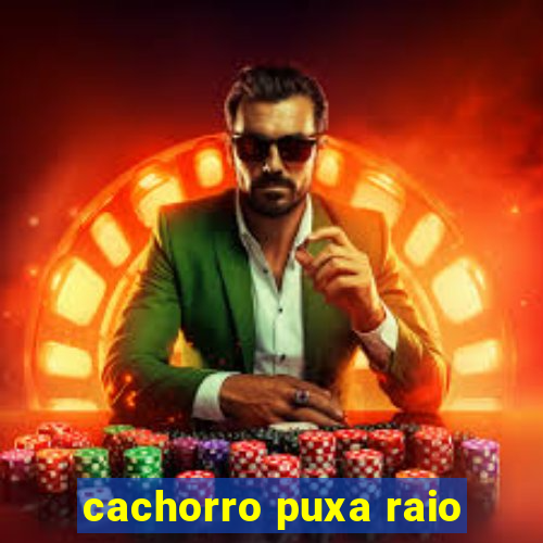 cachorro puxa raio